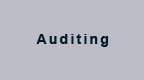 Auditing