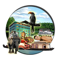 Tours and Travels Kerala Tour Package